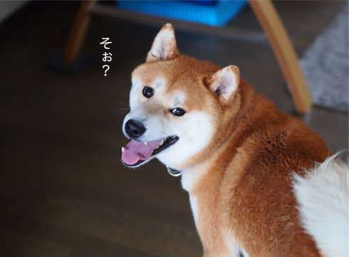 29日ブログ12.jpg