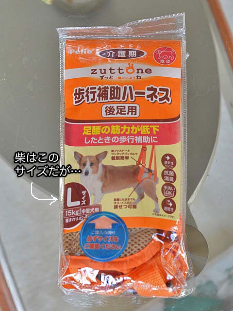 11日ブログ3