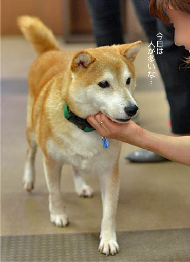 28日ブログ10.jpg