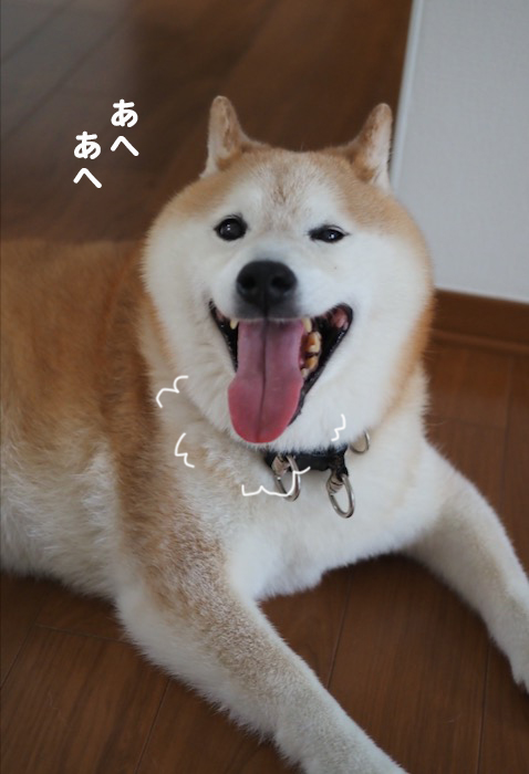24日夕ブログ９