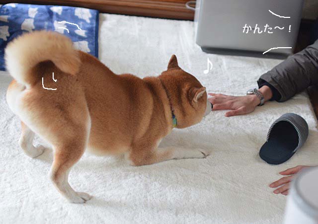 17日ブログ2