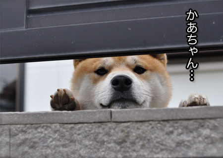 18日ブログ１２.jpg