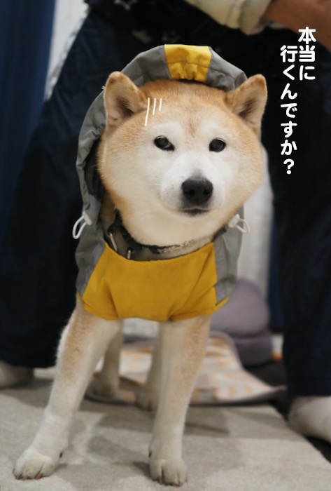 5日夜ブログ３