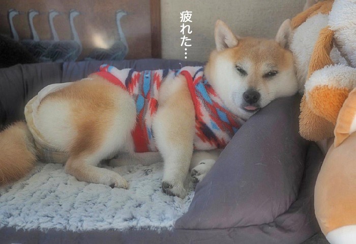 27日ブログ8