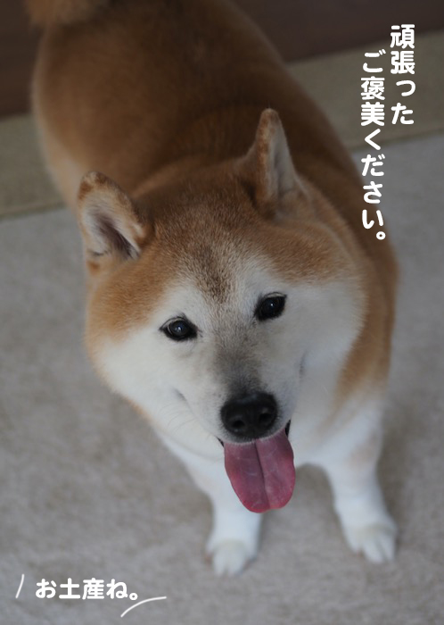 12日夕ブログ2