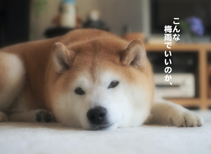 27日ブログ5