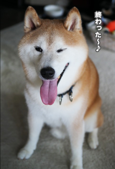 25日ブログ４