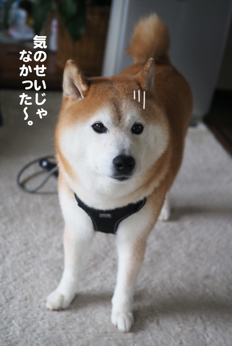 14日ブログ６
