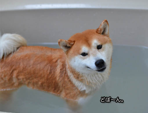 26日ブログ9.jpg