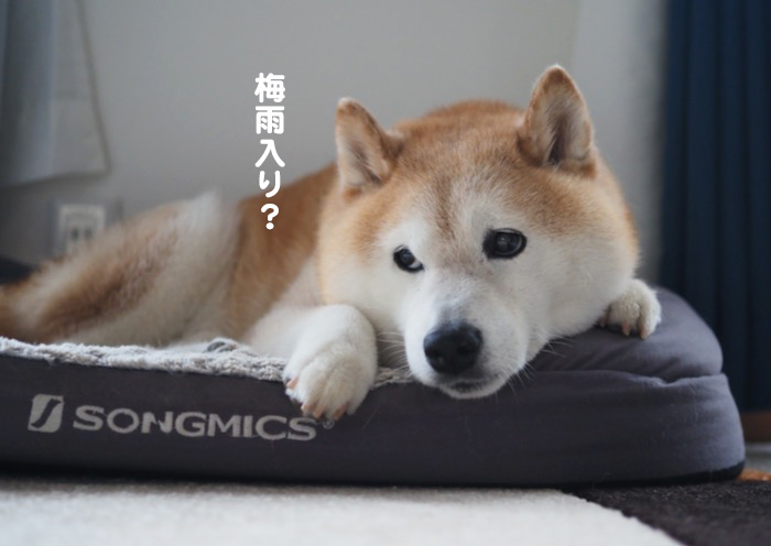 21日ブログ３
