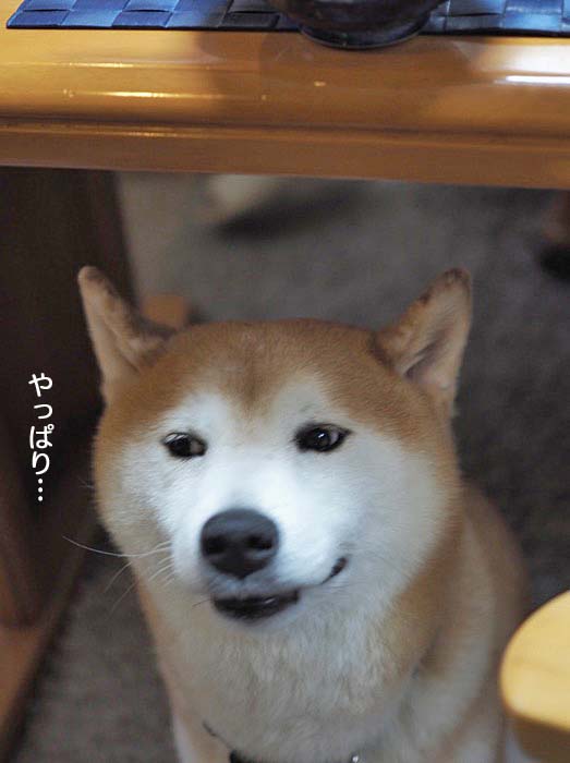 24日夜ブログ３