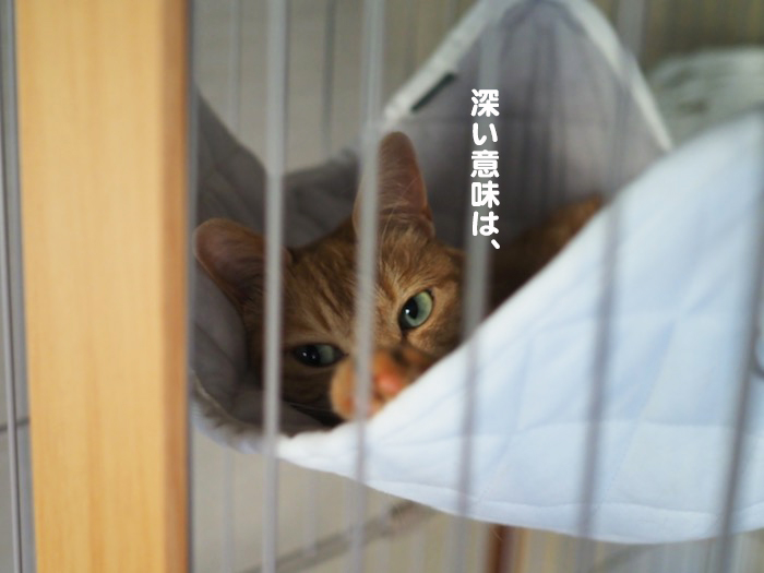 14日ブログ３
