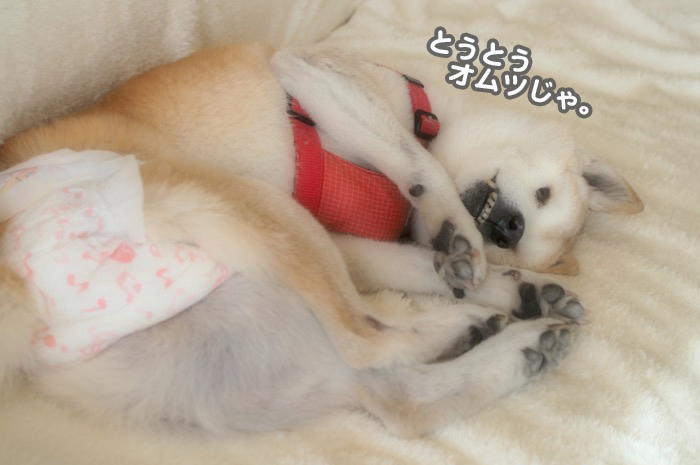 18日夕ブログ９