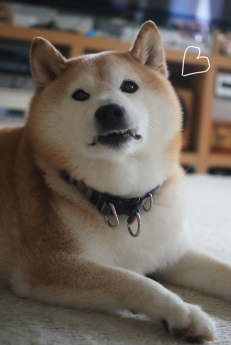 22日夕ブログ５