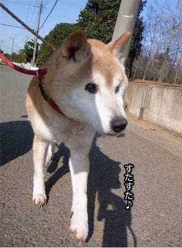 27日ブログ6.jpg