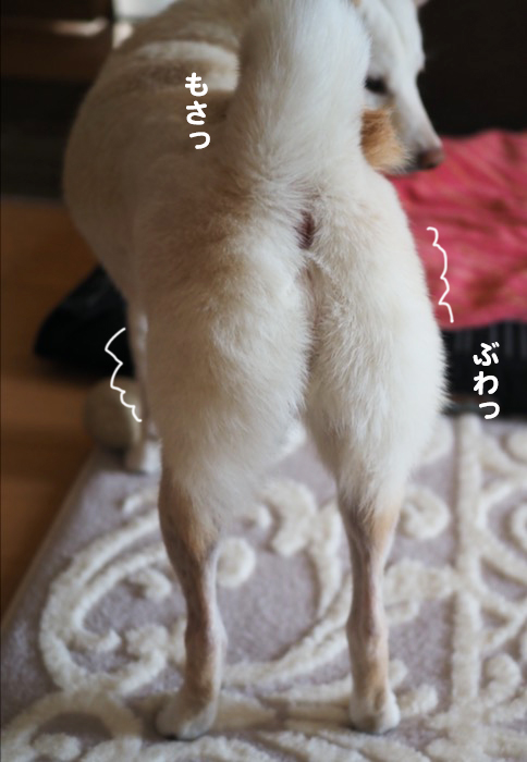 12日夕ブログ６