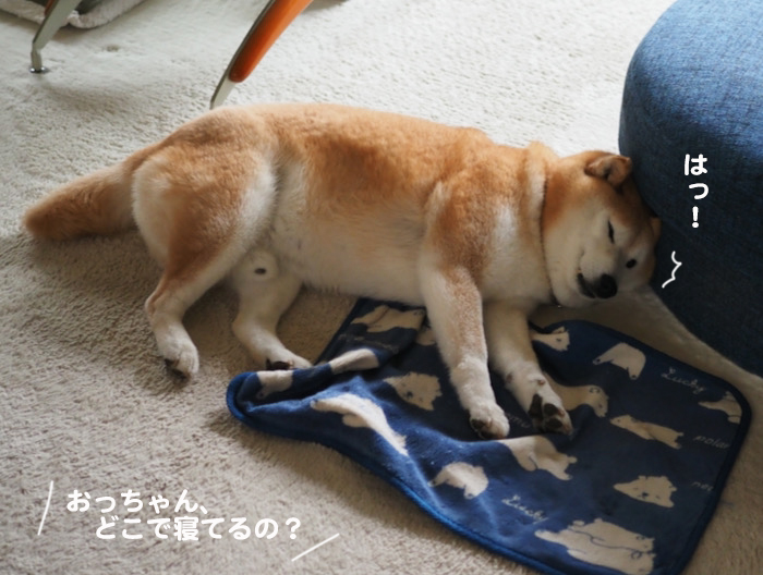 27日ブログ２
