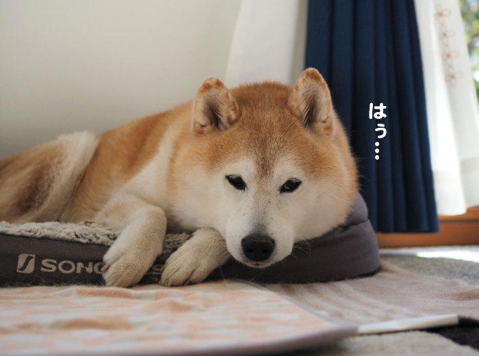 27日ブログ３