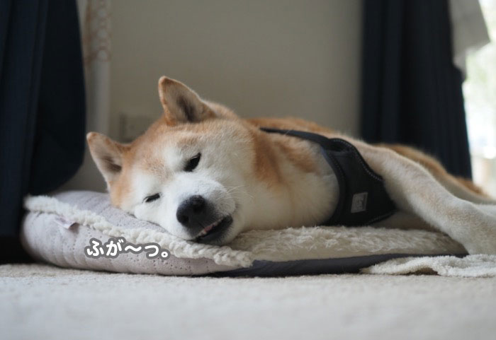 11日ブログ３
