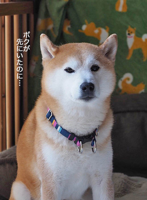 29日夜ブログ７