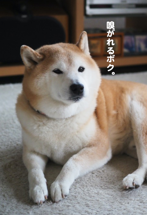 30日夕ブログ９