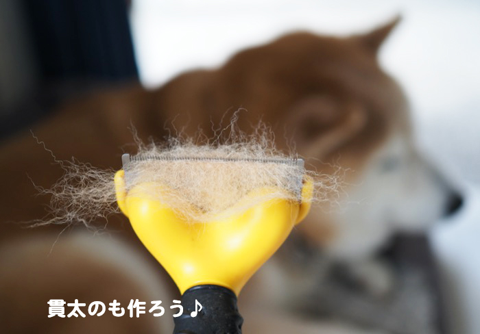 10日夕ブログ１０