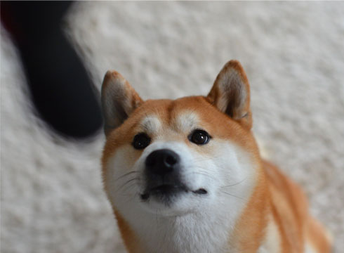 27日ブログ7.jpg