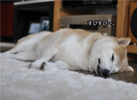28日ブログ3.jpg