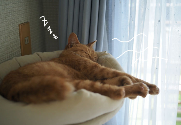 10日夕ブログ４
