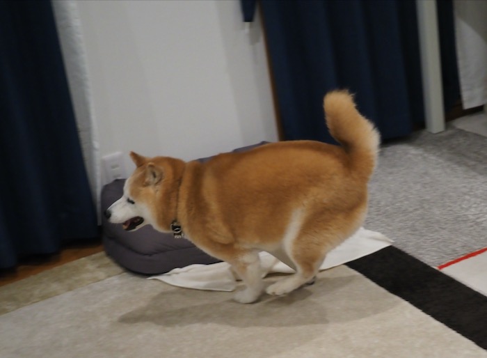 22日夕ブログ１８