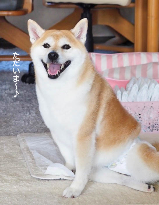 11日夜ブログ２
