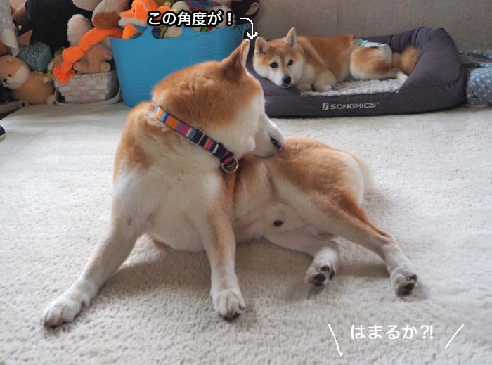 31日ブログ５