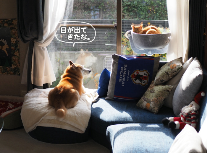 3日ブログ１