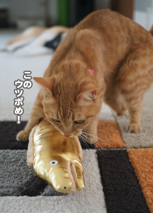 23日夕ブログ６