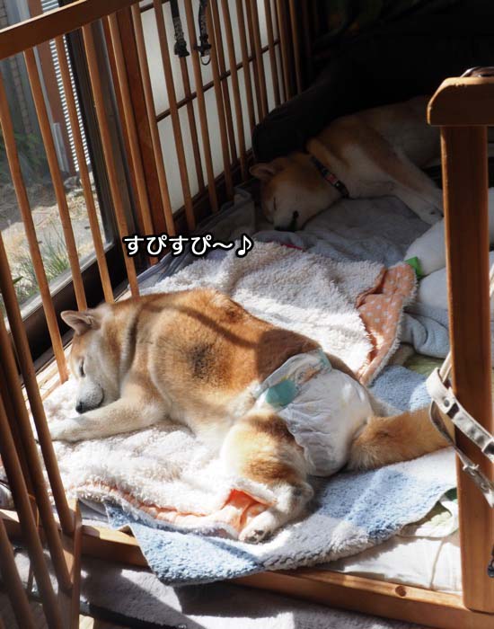 25日夜ブログ２