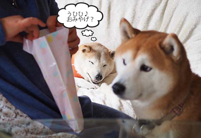 20日ブログ3