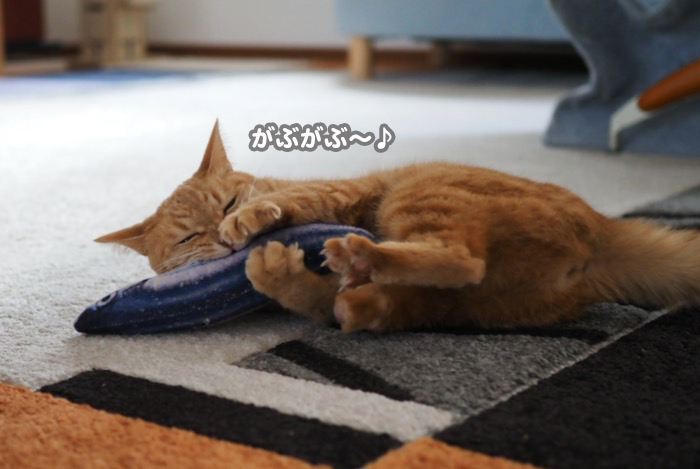 8日夕ブログ9jpg