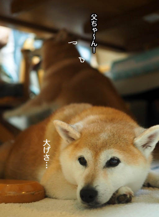 23日夕ブログ５