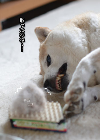 28日ブログ3.jpg