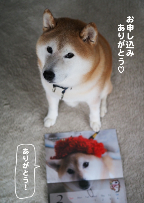 4日ブログ４