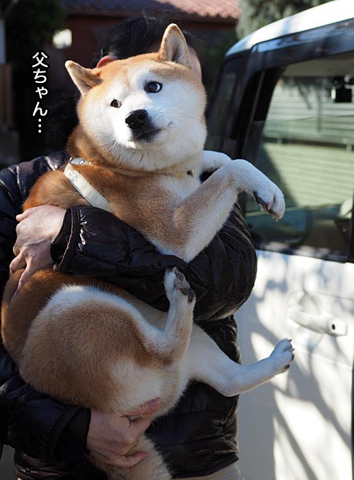 17日夜ブログ8