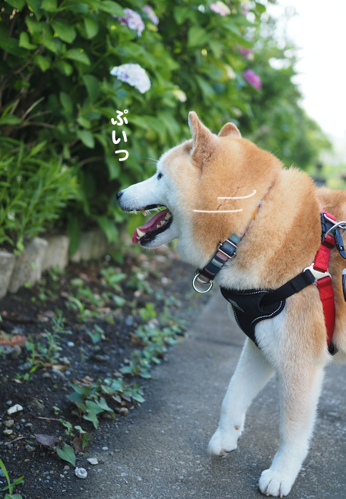 8日夕ブログ４