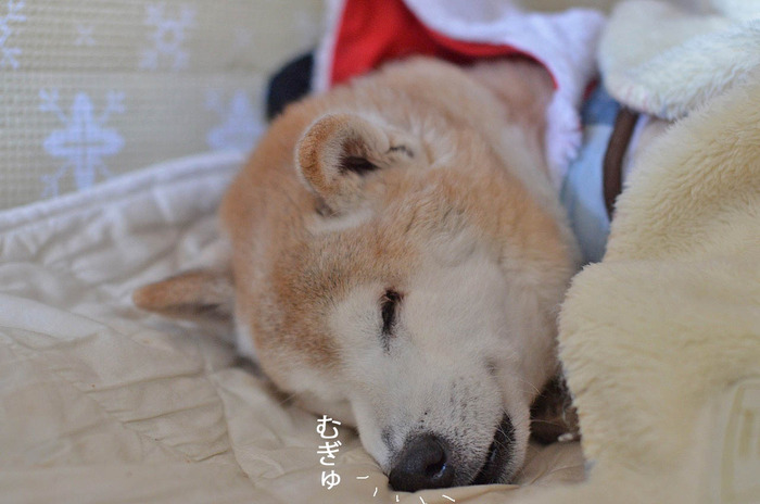 26日ブログ4