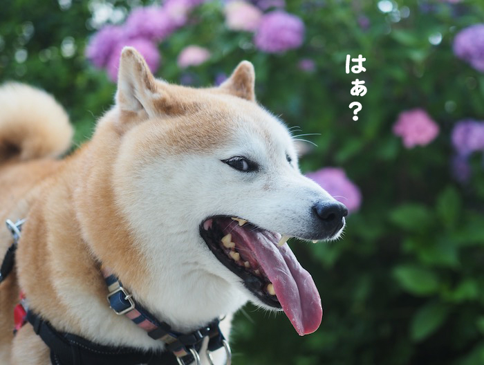 26日ブログ２