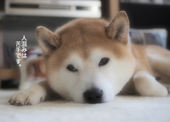 20日夕ブログ４
