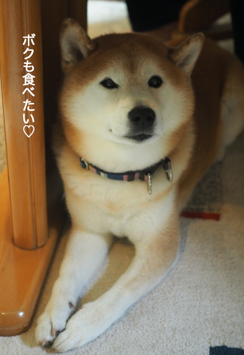 29日夜ブログ８