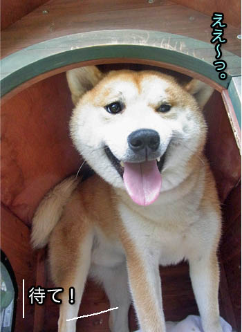 24日ブログ7.jpg