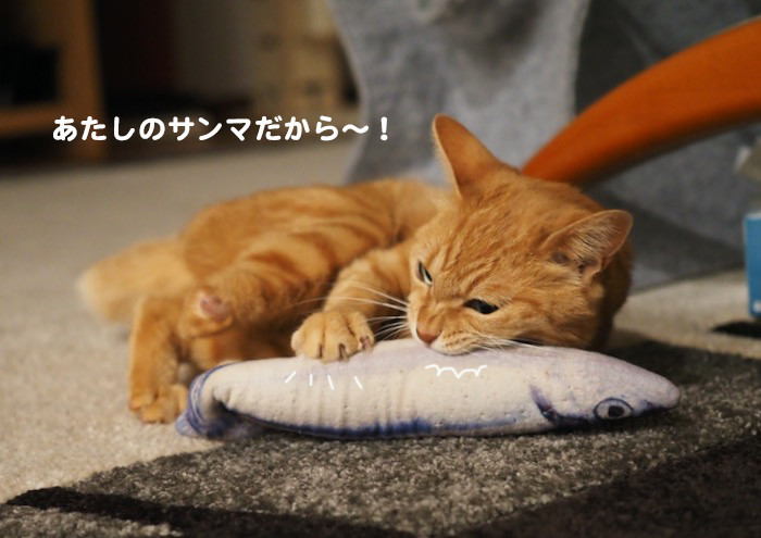 18日夕ブログ７