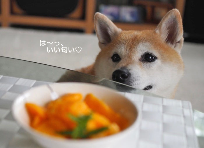 29日夜ブログ８