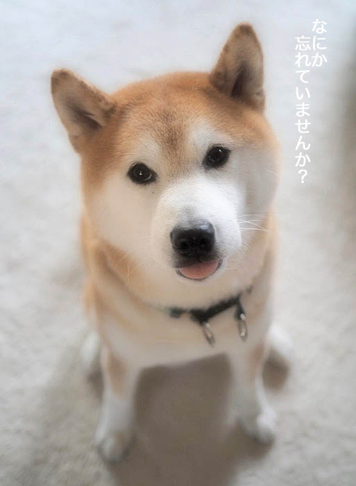 31日ブログ２